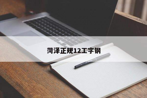 菏泽正规12工字钢