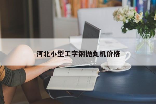 河北小型工字钢抛丸机价格